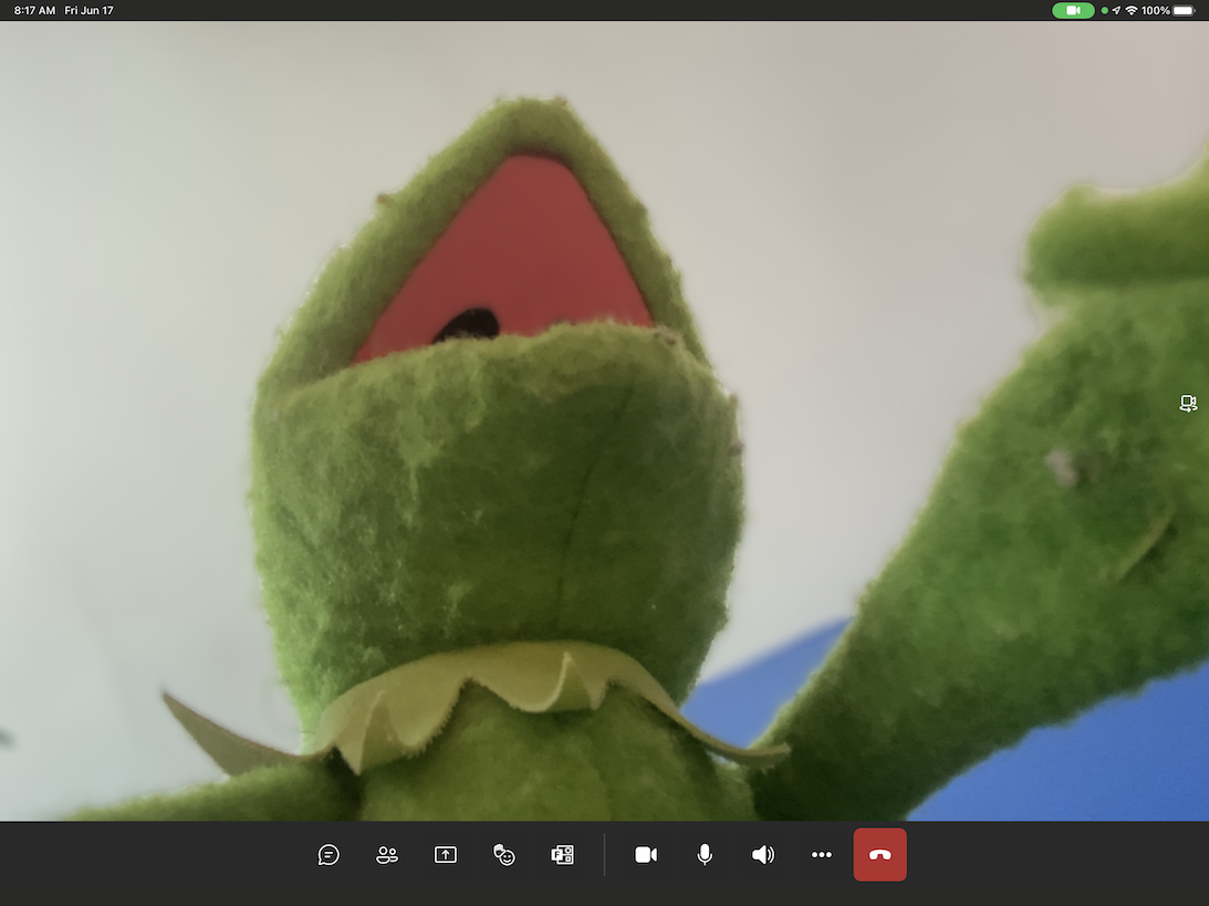 Picture of the Teams interface camera looking up at Kermit
